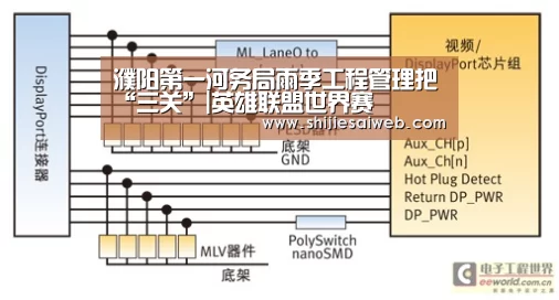 濮阳第一河务局雨季工程管理把“三关”|英雄联盟世界赛(图1) LOL世界赛官网
