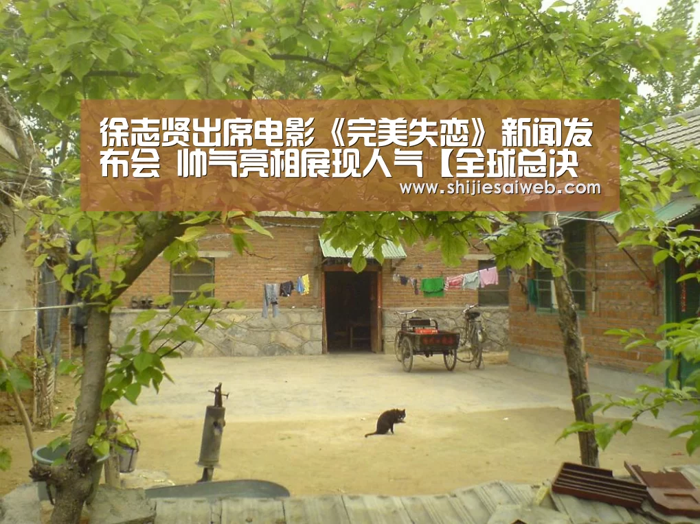 徐志贤出席电影《完美失恋》新闻发布会 帅气亮相展现人气【全球总决赛官网】(图1) 全球总决赛官网