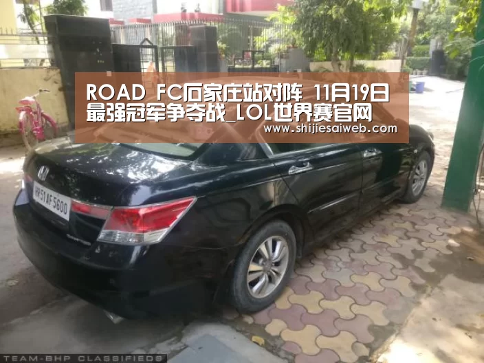 ROAD FC石家庄站对阵 11月19日最强冠军争夺战_LOL世界赛官网(图1) LOL世界赛官网