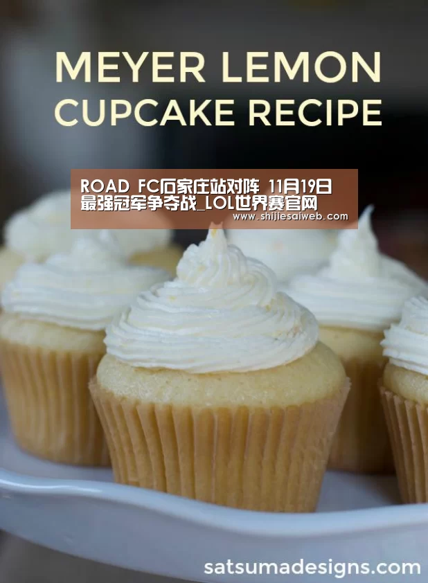 ROAD FC石家庄站对阵 11月19日最强冠军争夺战_LOL世界赛官网(图2) 全球总决赛官网