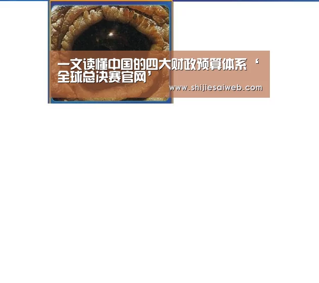 一文读懂中国的四大财政预算体系‘全球总决赛官网’(图2) LOL世界赛官网