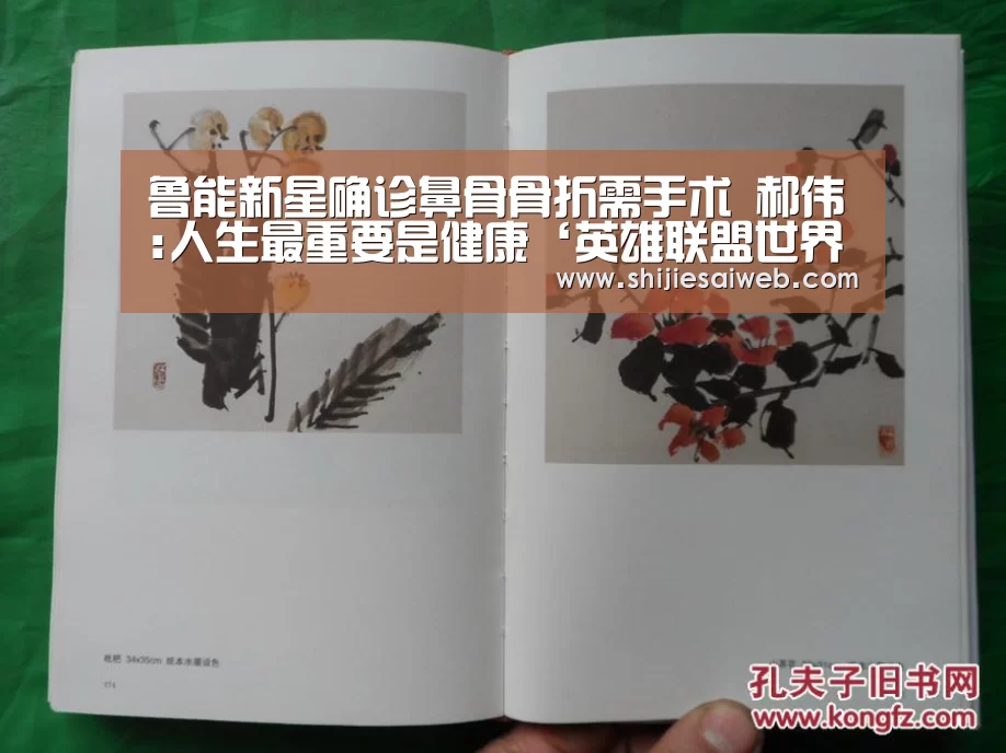鲁能新星确诊鼻骨骨折需手术 郝伟:人生最重要是健康‘英雄联盟世界赛’(图3) 英雄联盟世界赛