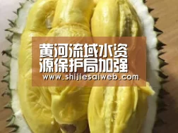 黄河流域水资源保护局加强黄河水资源保护能力建设‘LOL世界赛官网’(图1) 英雄联盟世界赛