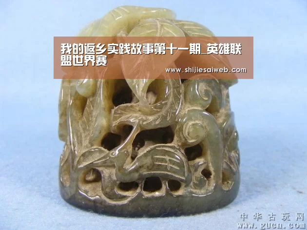 我的返乡实践故事第十一期_英雄联盟世界赛(图4) LOL世界赛官网